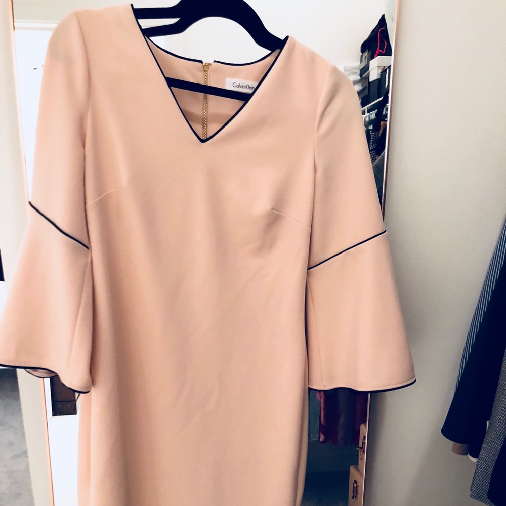 Light Pink Fluted Sleeve Dress w/ Gold Zipper